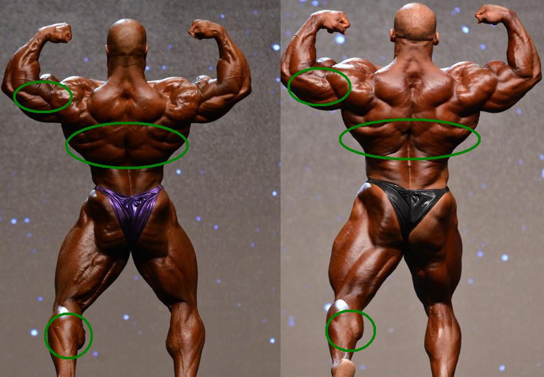 Phil-Vs-Big-Ramy-Back-Double-Biceps.jpg