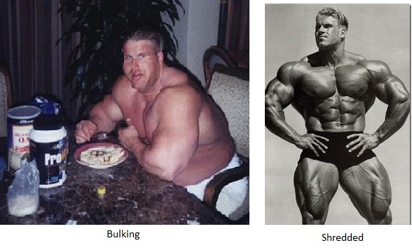 endomorph before and after