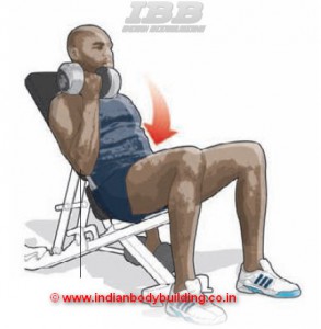 Biceps Curl Workout Position Three