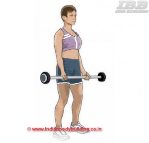 Biceps Workout Barbell Curls Step 1