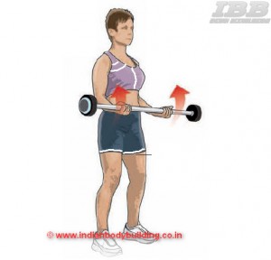 Biceps Workout Barbell Curls Step 2