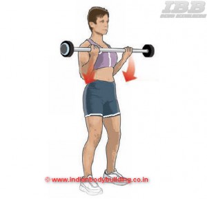 Biceps Workout Barbell Curls Step 3