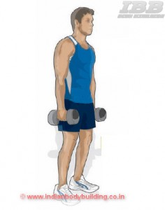 Biceps Workout Hammer Curl Step 1