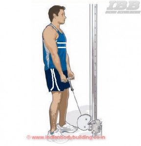 Biceps Workout Low Pulley Curls Step 1