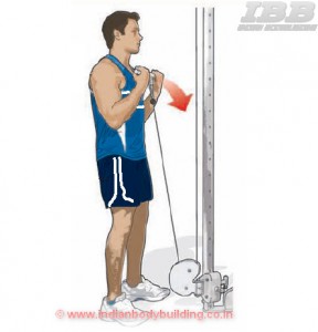 Biceps Workout Low Pulley Curls Step 3