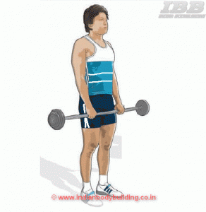 Biceps Workout Reverse Curls Movement