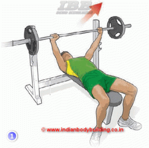 Chest Workout Barbell Bench Press Movement